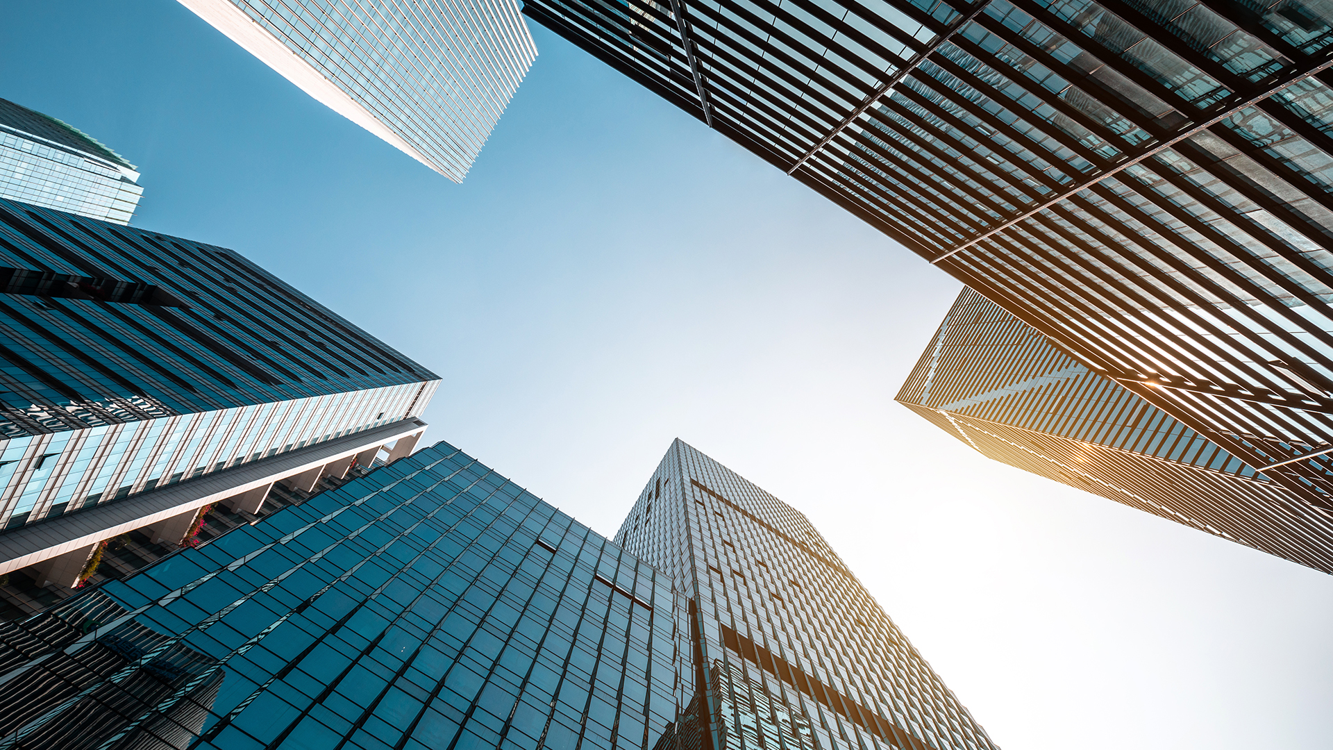 Building Resilience Index 