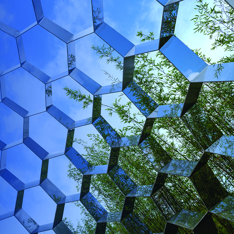 Honeycomb and blue sky bamboo forest