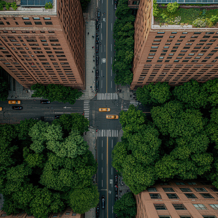 Aerial view of city street lined with lush green trees