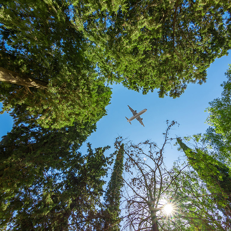 Airplane flying above the forest, bottom view