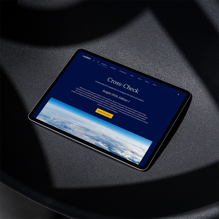 Aviation cross check