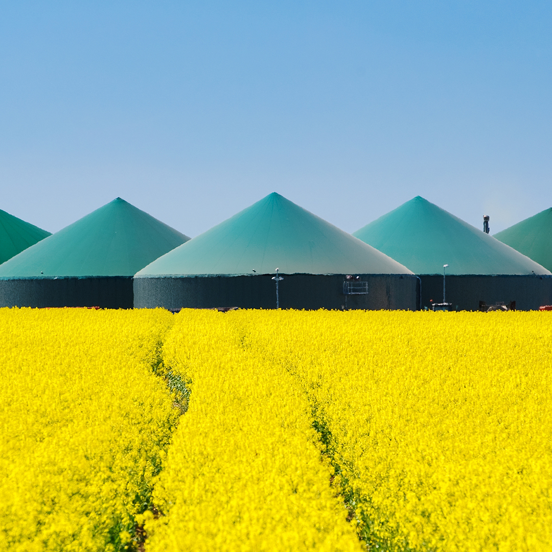 Biogas cylinders with field in front