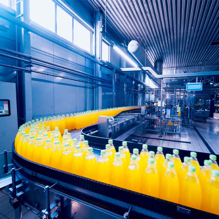 Bottles running through factory process