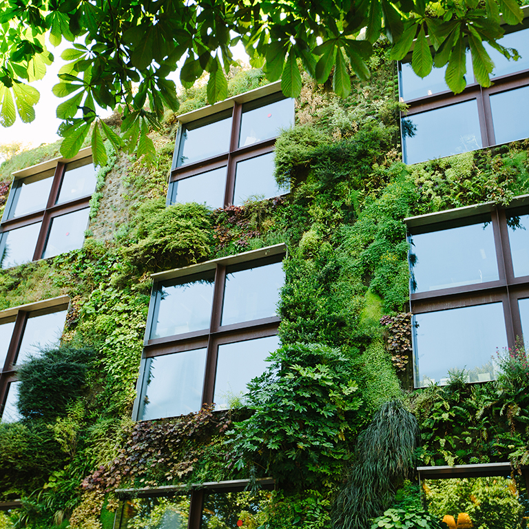 Green architecture concept