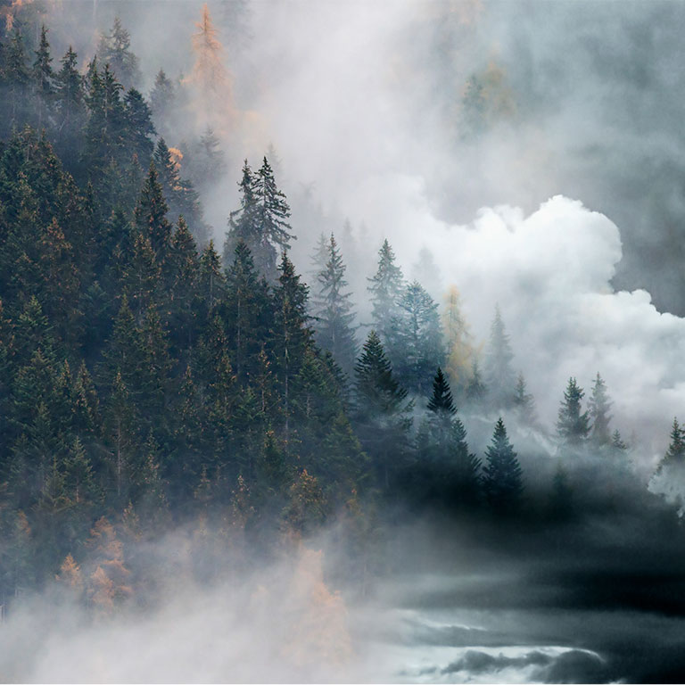 factory smoke covering pine forest double exposure global warming climate change