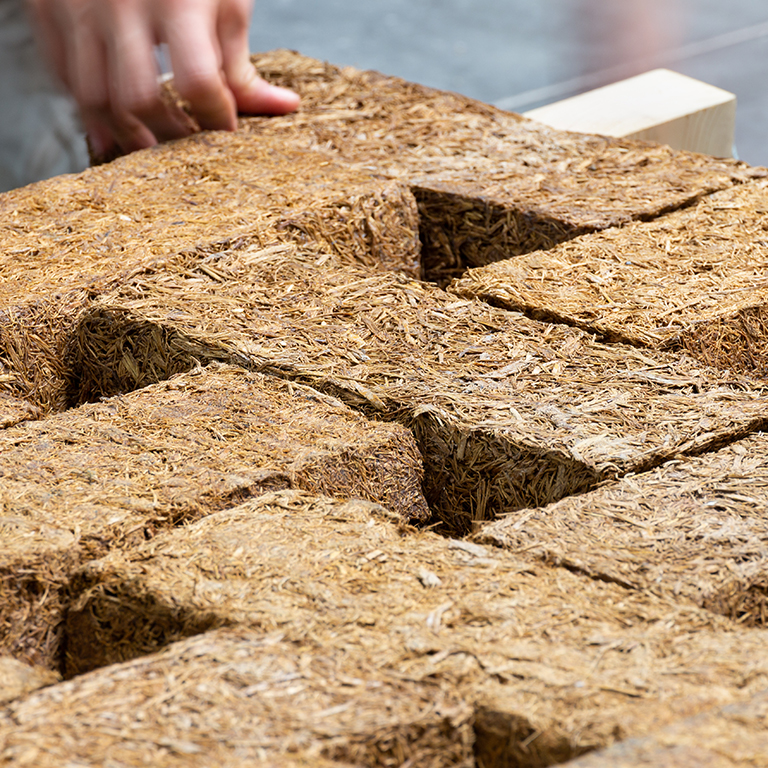 Image of bricks of Sugarcrete™, a low cost, low carbon construction material upcycling sugarcane by-products, made by Grimshaw, UEL and Tate & Lyle