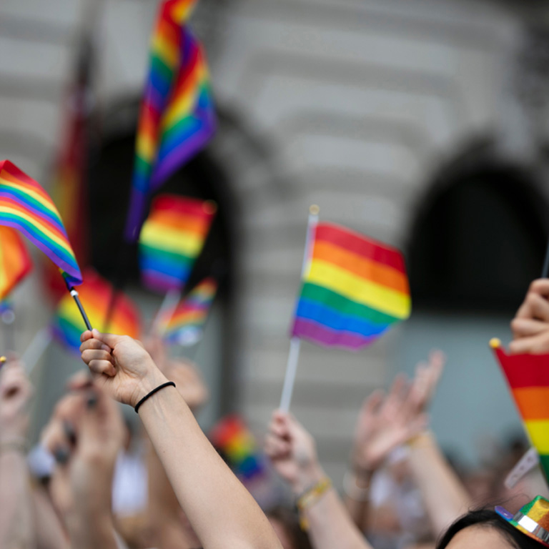 Crowds of people wave gay pride flags at a solidarity march