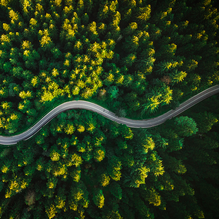 Curvy Road in Summer Pine Forest. top Down Drone Photography. Outdoor Wilderness.