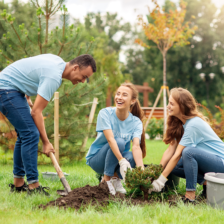 Young people girls and boy volunteers outdoors helping nature planting trees digging ground with shovel talking smiling cheerful