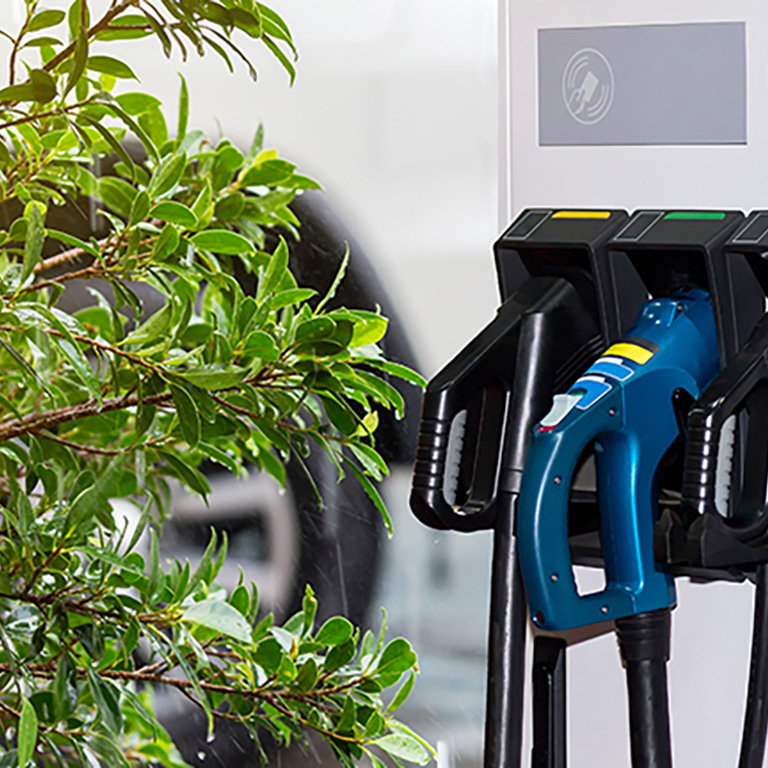 electric vehicle charging (Ev) station and plug of power cable supply for Ev car with tree in raining day background