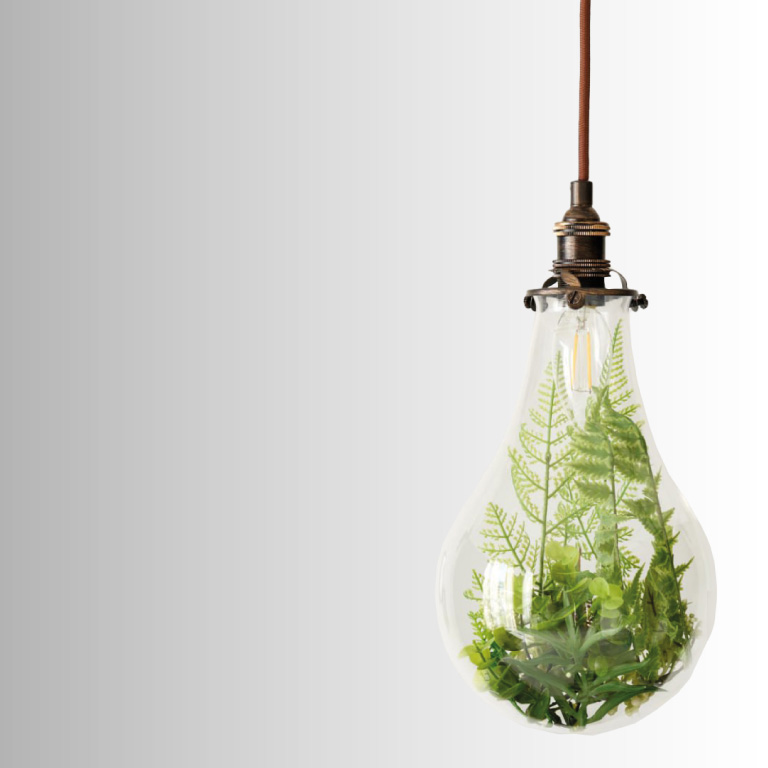 green leaves inside hanging light bulb
