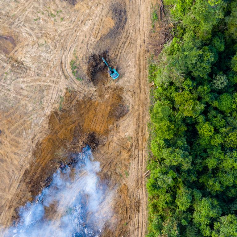 Excavator working on land clearing near forest edge