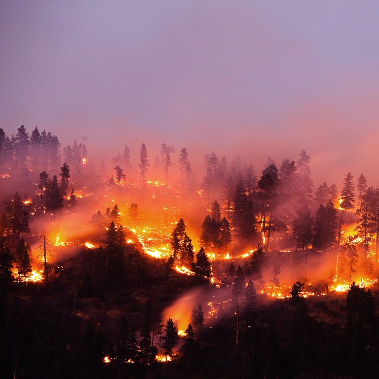 Forest fire burns trees on a hillside during twilight