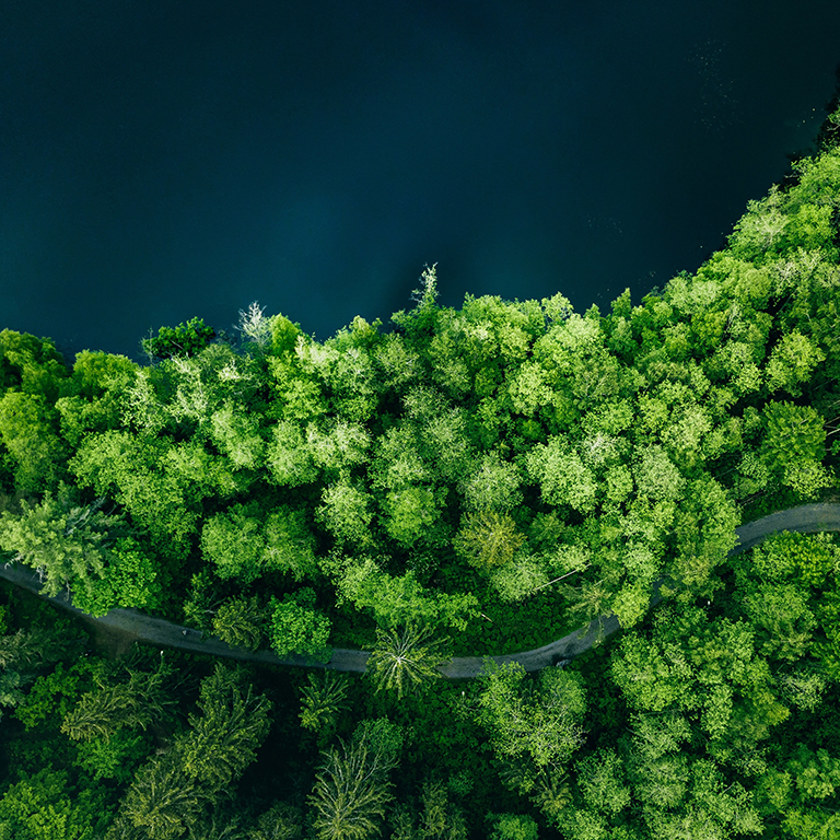 Aerial top view of country road in green summer forest and blue lake. Rural landscape in Finland. Drone photography from above.