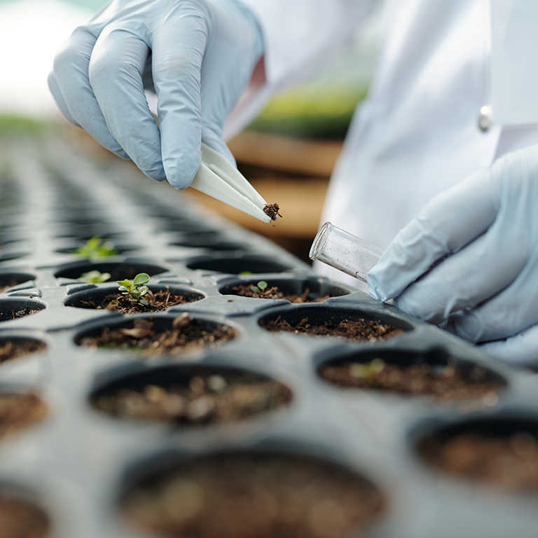 Gloved hand of scientist taking sample of soil into flask while working in hothouse