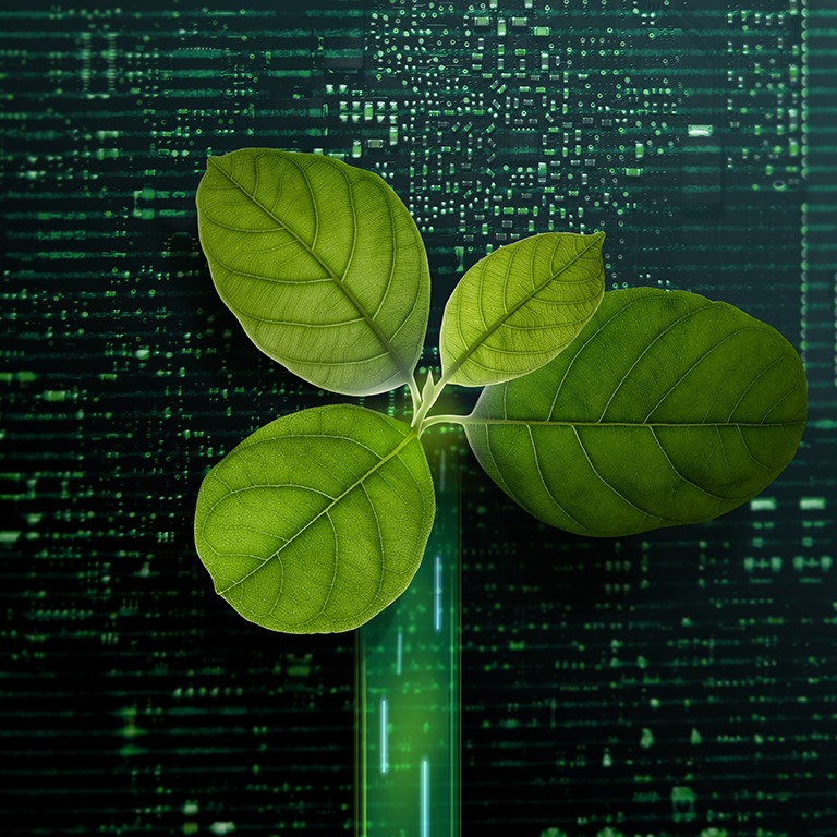 Carbon Nautral, ESG Concepts. Green Leaf inside a Computer Circuit Board. Growth. Environmental, Business and Technology Growth Together. Sustainable Resources