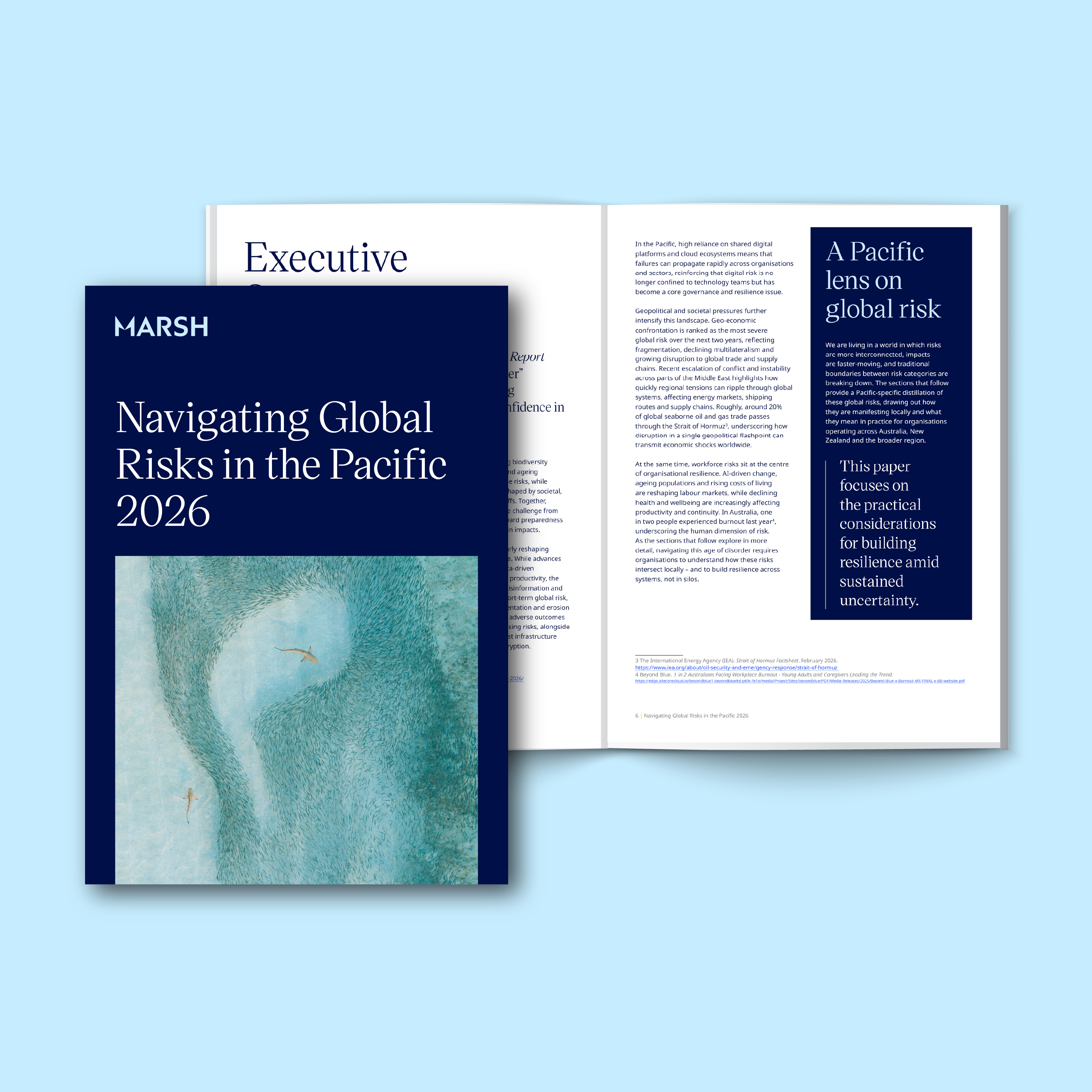 Global risk report pacific