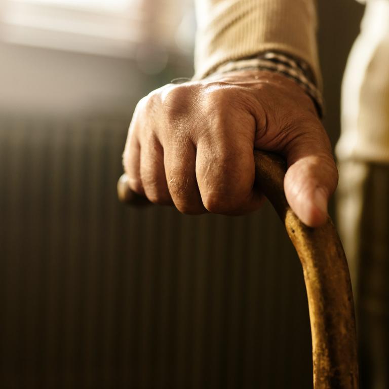 Hand holds a wooden cane