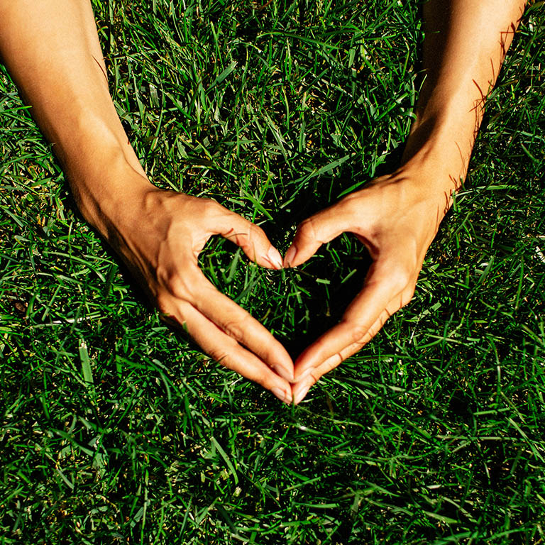 Hands in the grass in the form of heart.hands holding green heart shaped grass/ green baby plants arranged in a heart shape / love nature / save the world / heal the world / environmental preservation