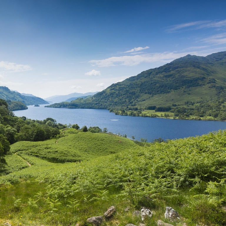 Hills and forest surrounding Loch Lomond