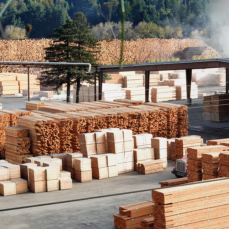 Mass timber procurement