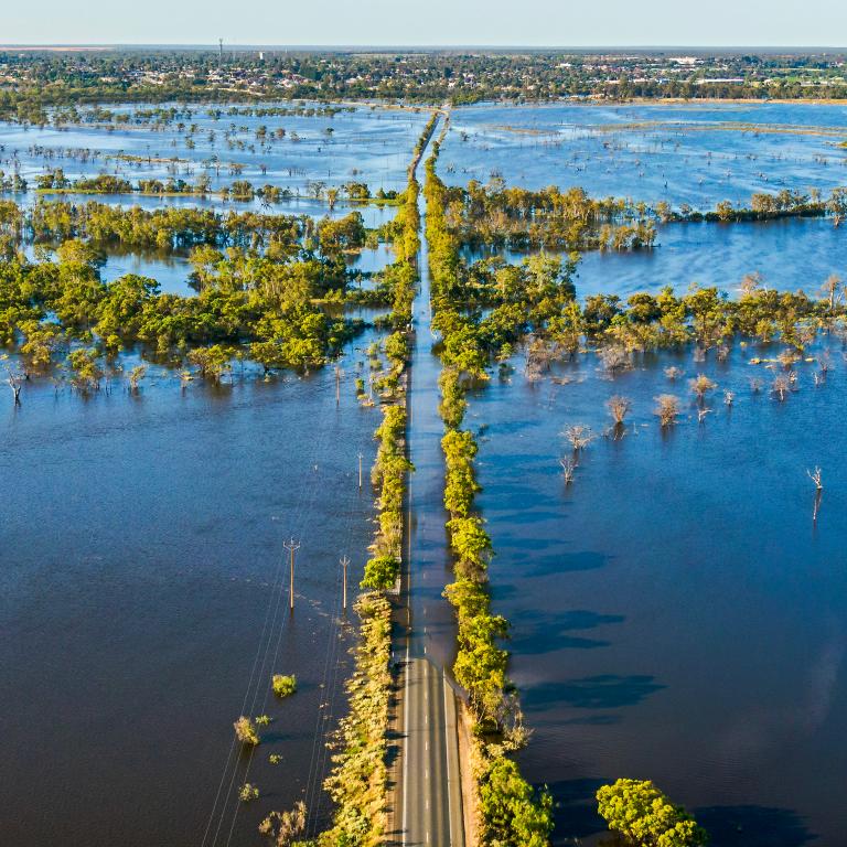 Murray River floods a road surrounded by trees