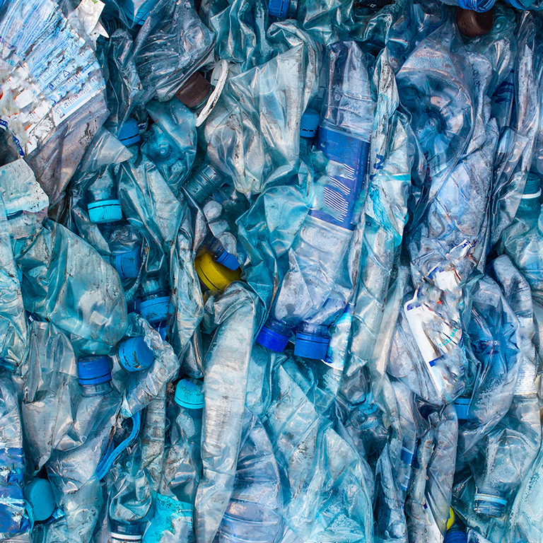 bottle pet plastic prepare to recycle