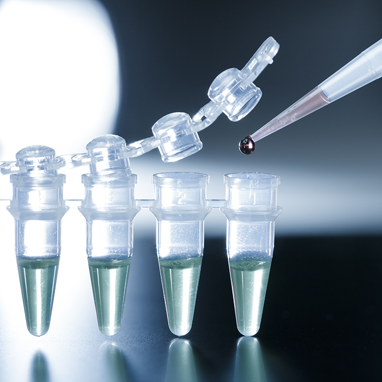 Pipette dripping into PCR strip in a laboratory.