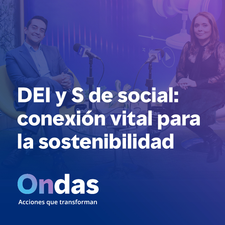 DEI y S de social: conexion vital para la sostenibilidad