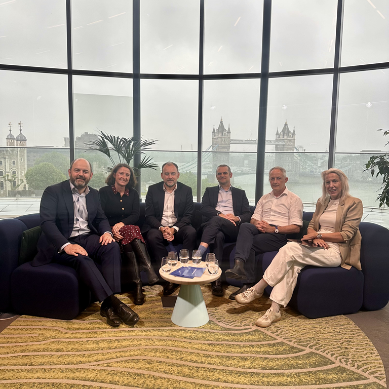 Webinar panel