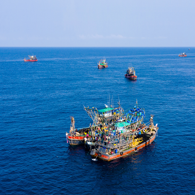 Fishing vessels on a calm sea in good weather