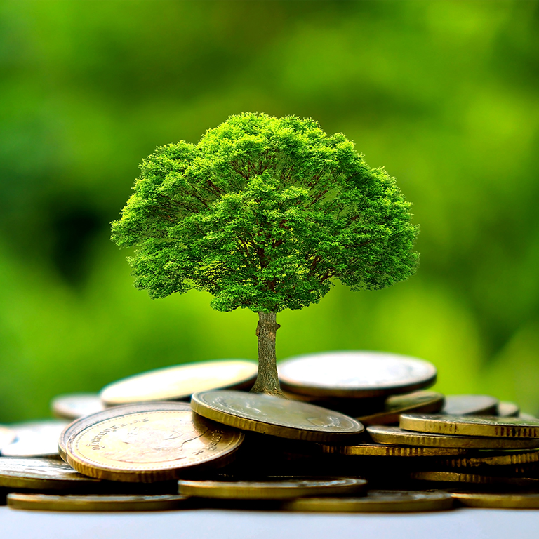 Small trees on a pile of gold coins and a natural green background. 