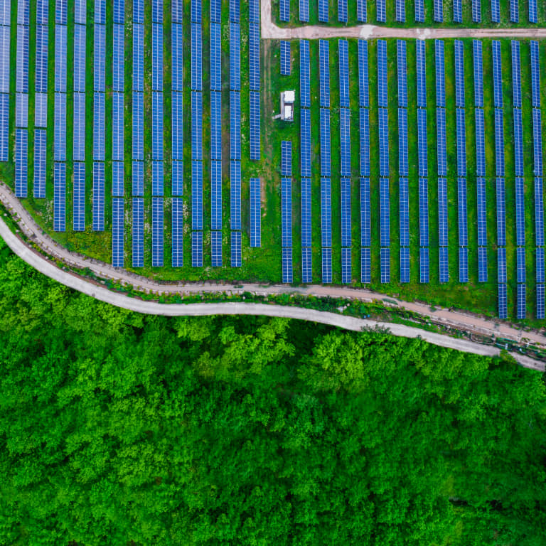Solar panels cover land near green trees and path