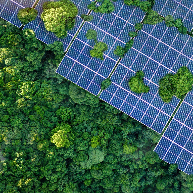 Solar panels installed in the green forest