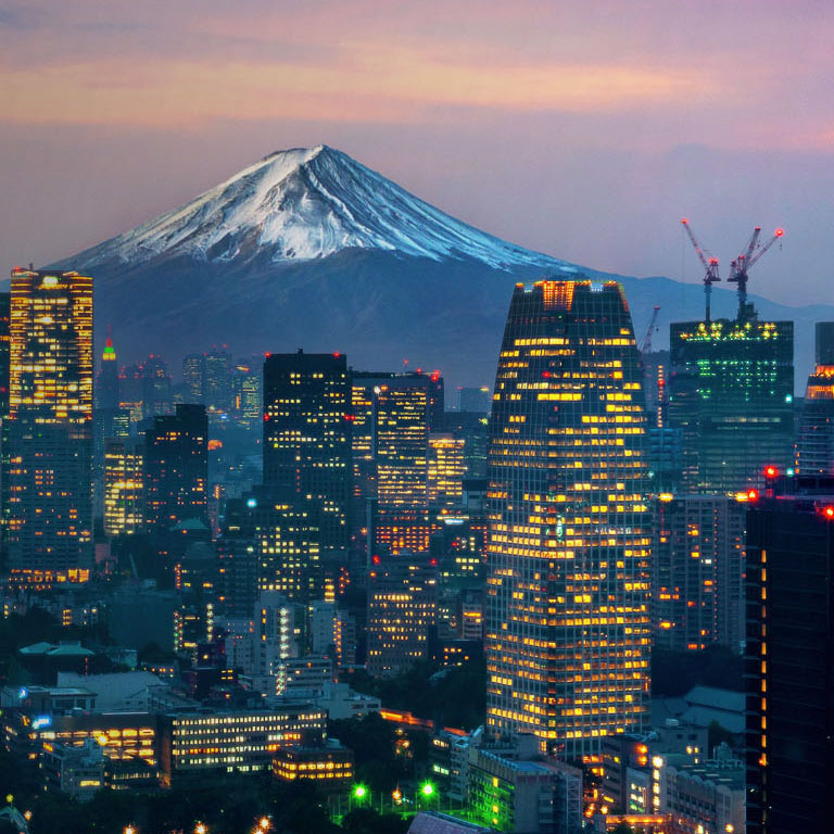 Aerial view of Tokyo cityscape with Fuji mountain in Japan.