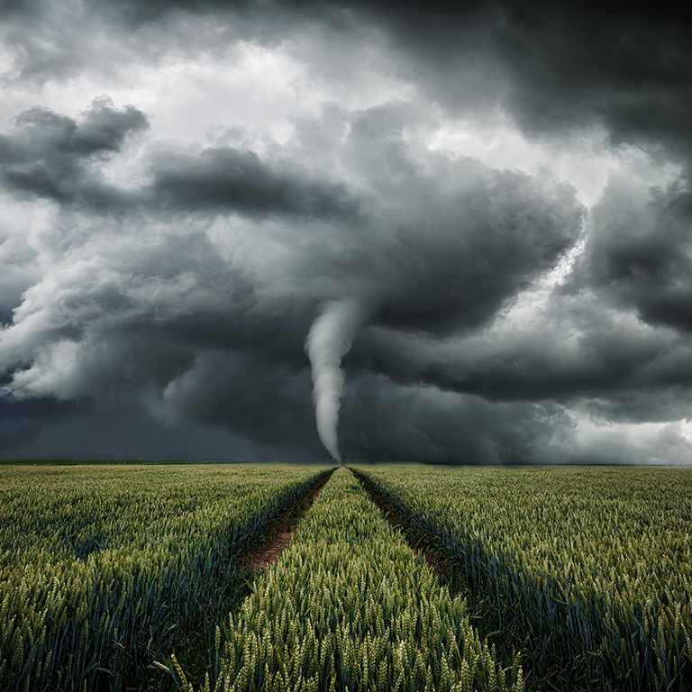 A tornado rages over a landscape - storm over a grain field